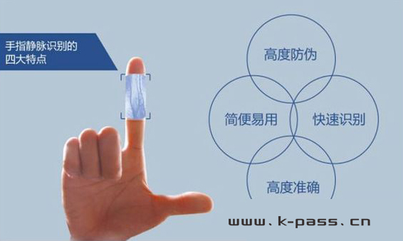 凯帕斯门禁系统